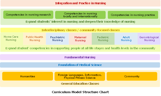 Curriculum Model Structure Chart