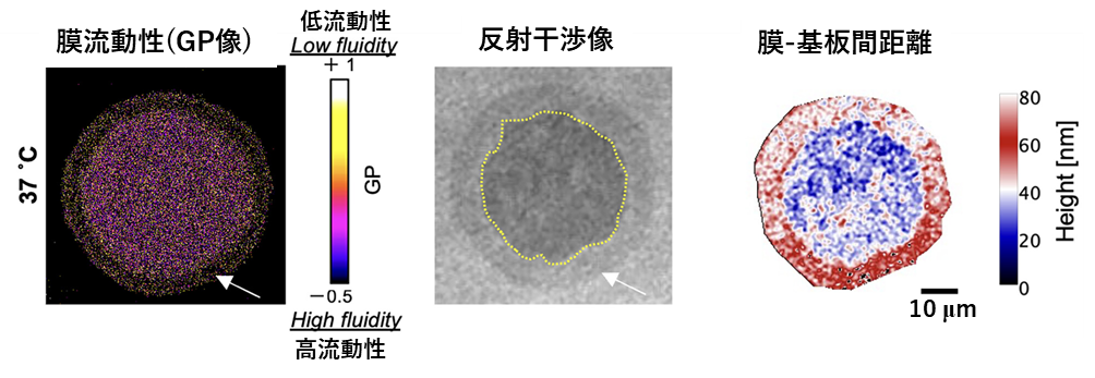 図２　.png